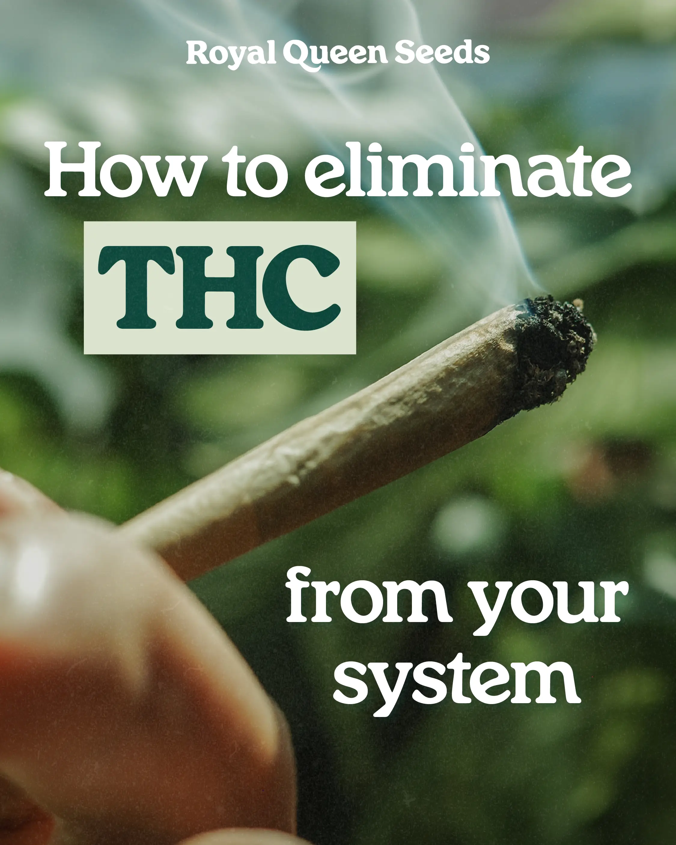 eliminate THC