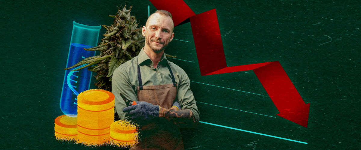 Cannabis grower with test tube, coins, and downward red graph on green background, showing economic impact.