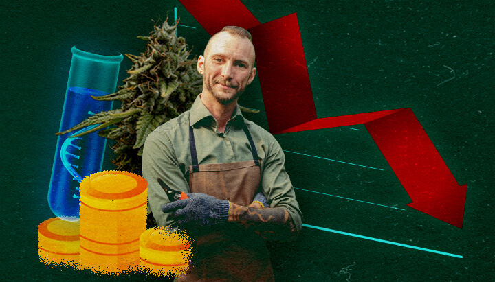 Cannabis grower with test tube, coins, and downward red graph on green background, showing economic impact.