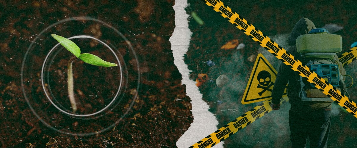 The contrast between healthy plant growth and the dangers of synthetic fungicides in modern agriculture, highlighting the need for organic alternatives.