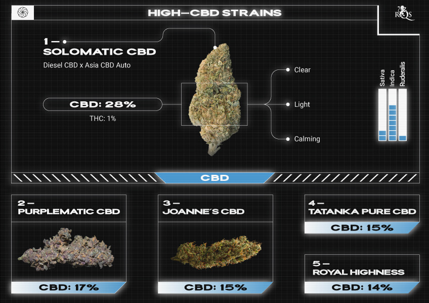 Top RQS CBD Strains