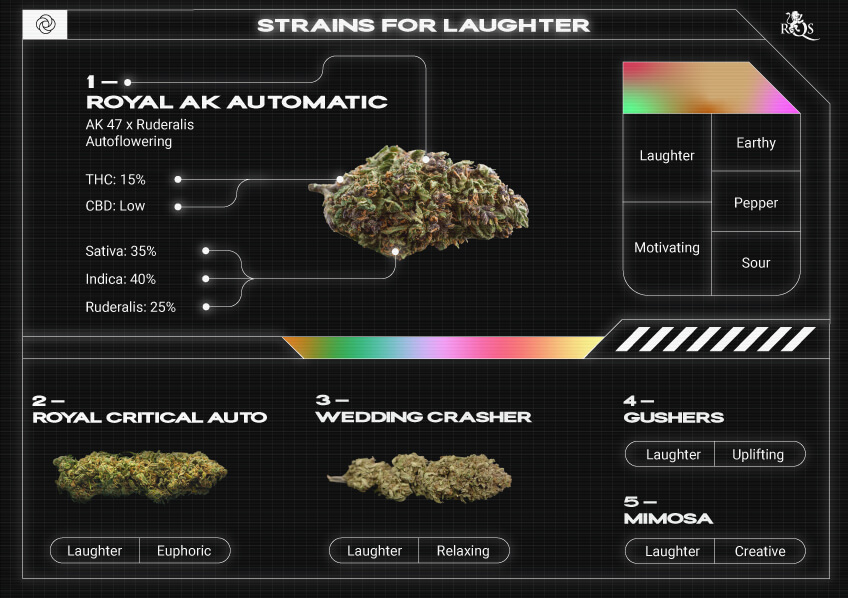 Top RQS Strains for Laughter