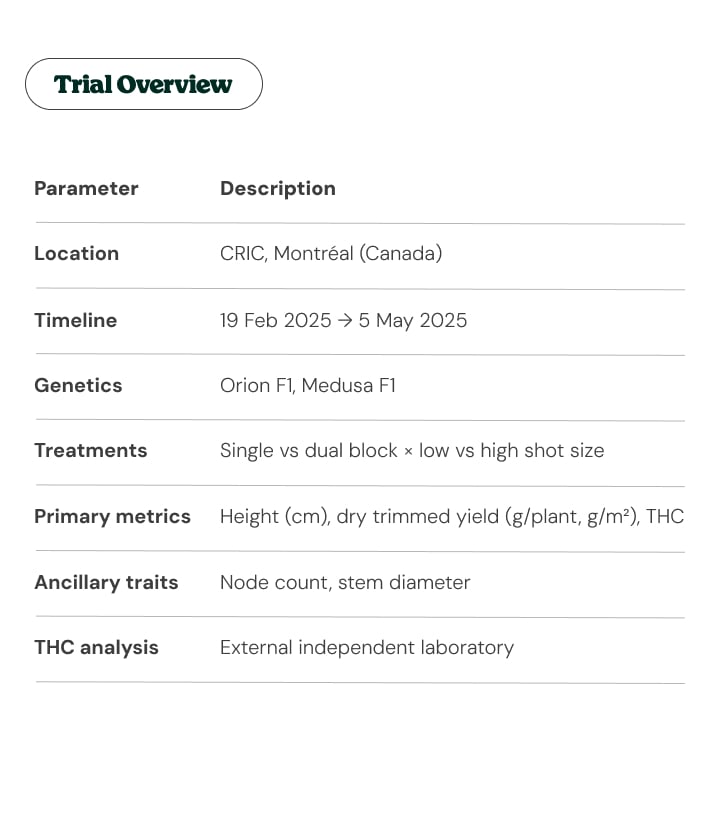 Cannabis trial overview at CRIC: location, dates and methodology Trial overview table showing CRIC location, timeline, cannabis genetics, treatments, and primary research metrics