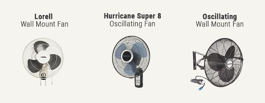 FANS