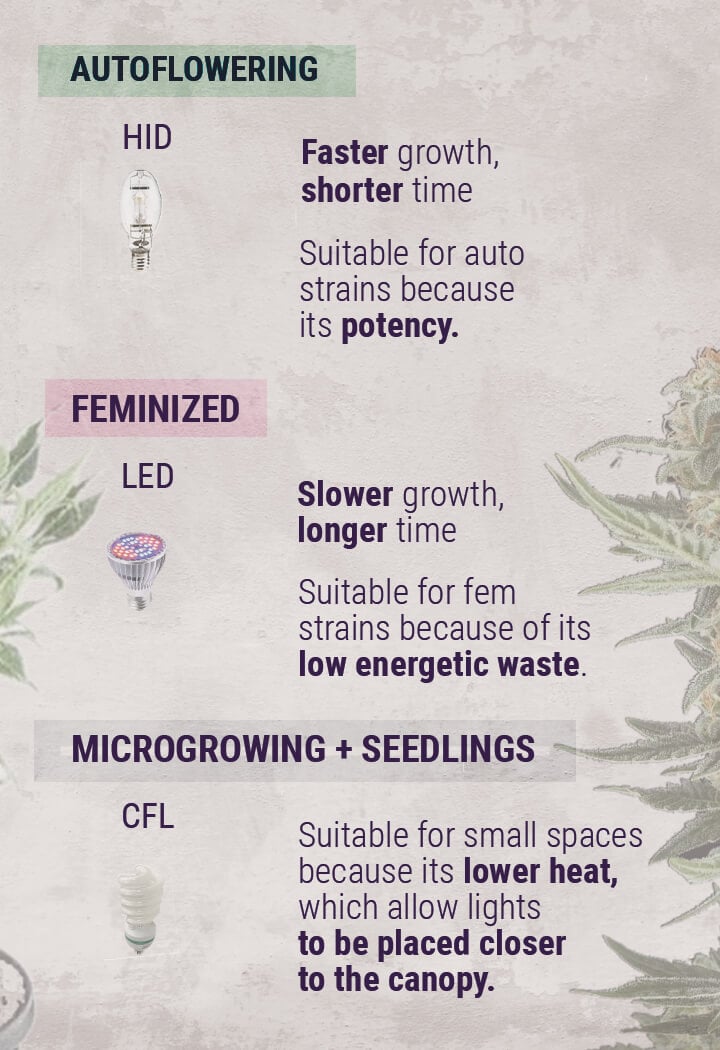 Types-of-Light-when-growing-Cannabis