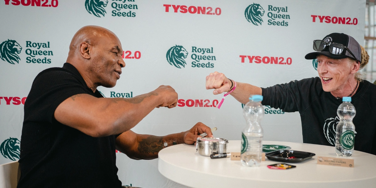 Mike Tyson parle de la culture du cannabis avec Max Majot Découvrez Mike Tyson et le maître cultivateur Max Majot discuter de la culture du cannabis en Europe, des variétés remarquables et de ce qui compte le plus pour les cultivateurs.