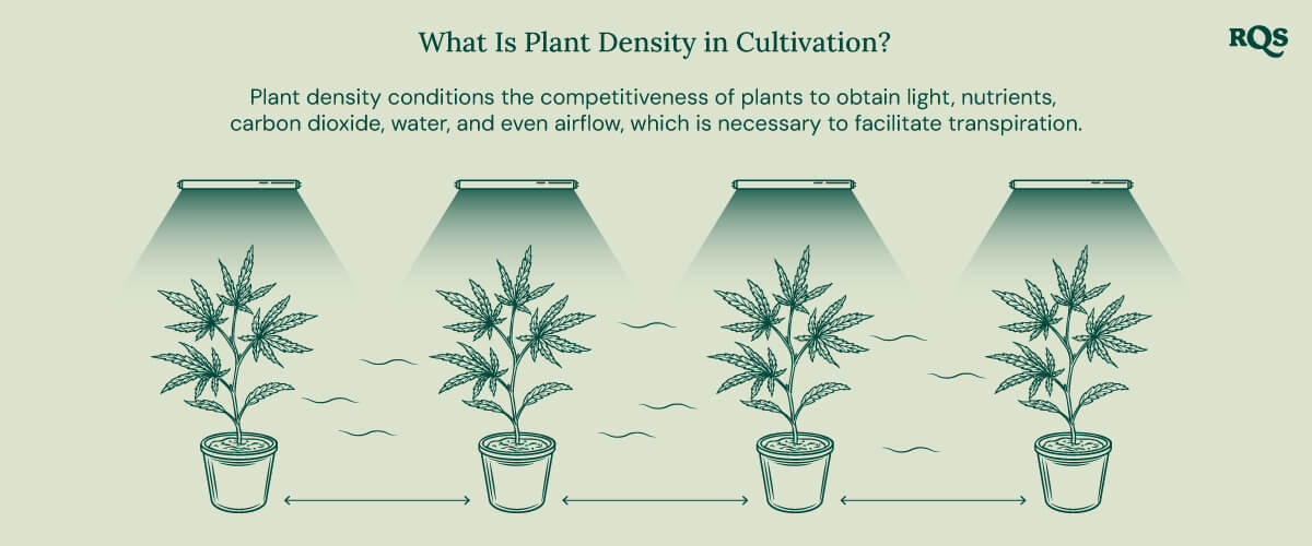 What is plant density What is plant density