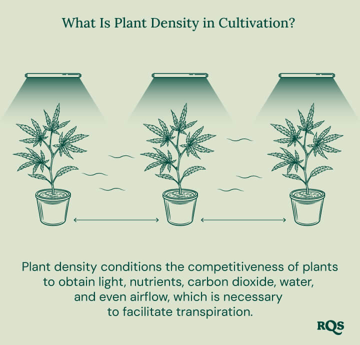 What is plant density What is plant density