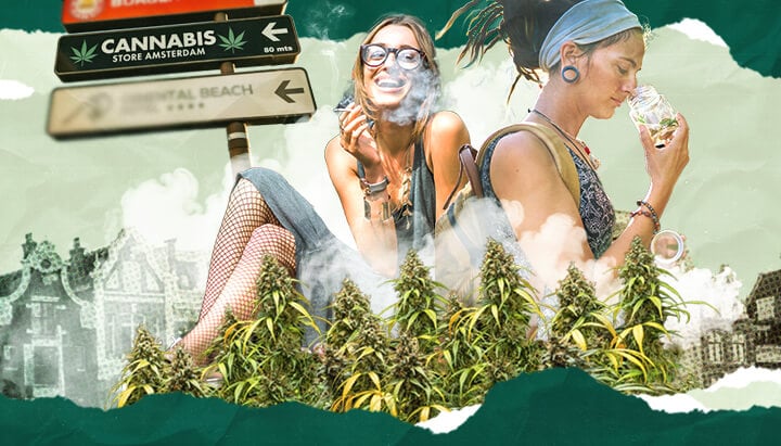 Explore the phenomenon of cannabis tourism, examining destinations, regulations, and experiences attracting travellers interested in cannabis culture and products.