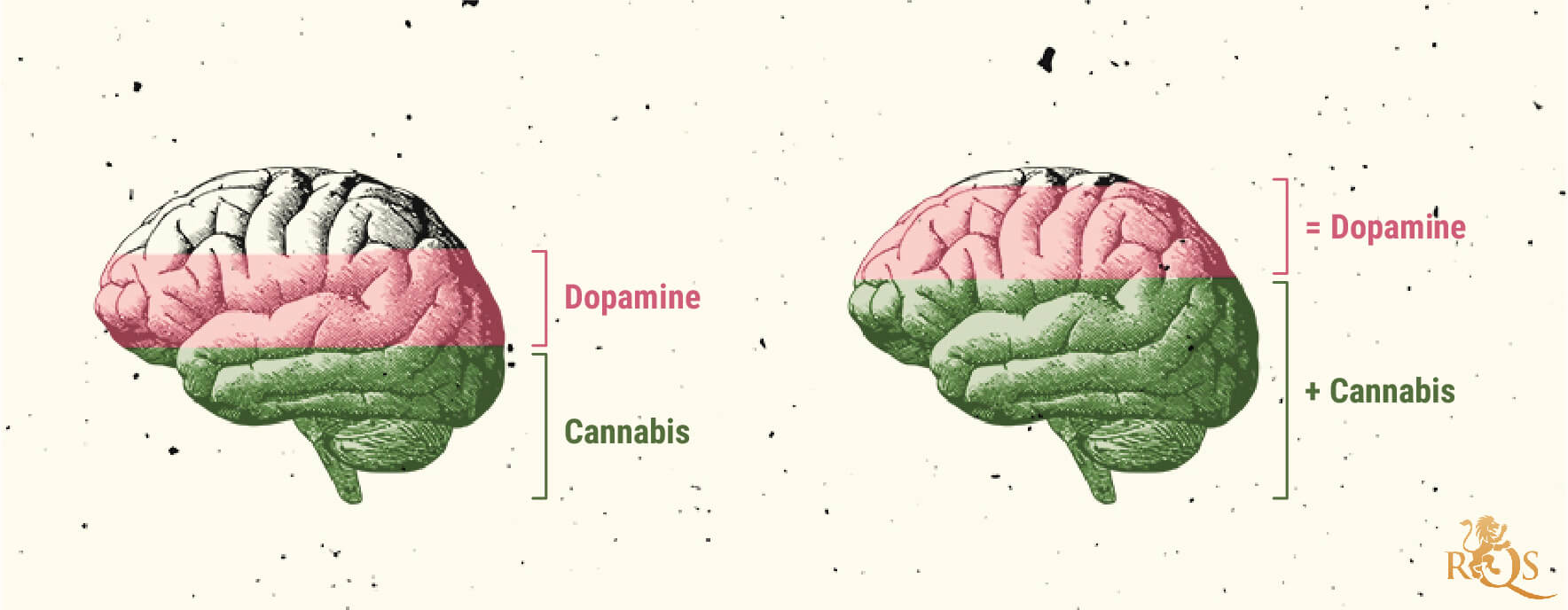 Possible causes of marijuana use disorder