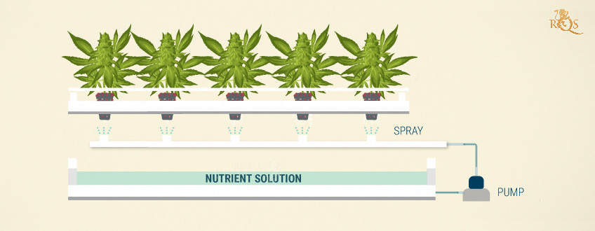 Aeroponic Continuous Flow Setups