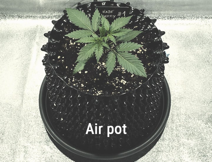 Air-Pots