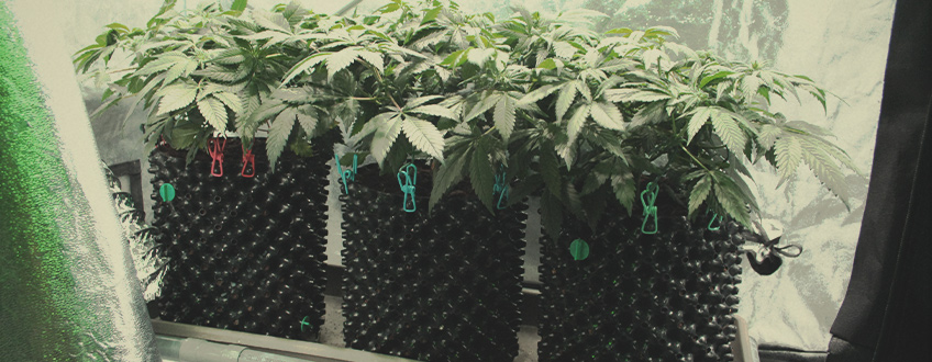 Air pots