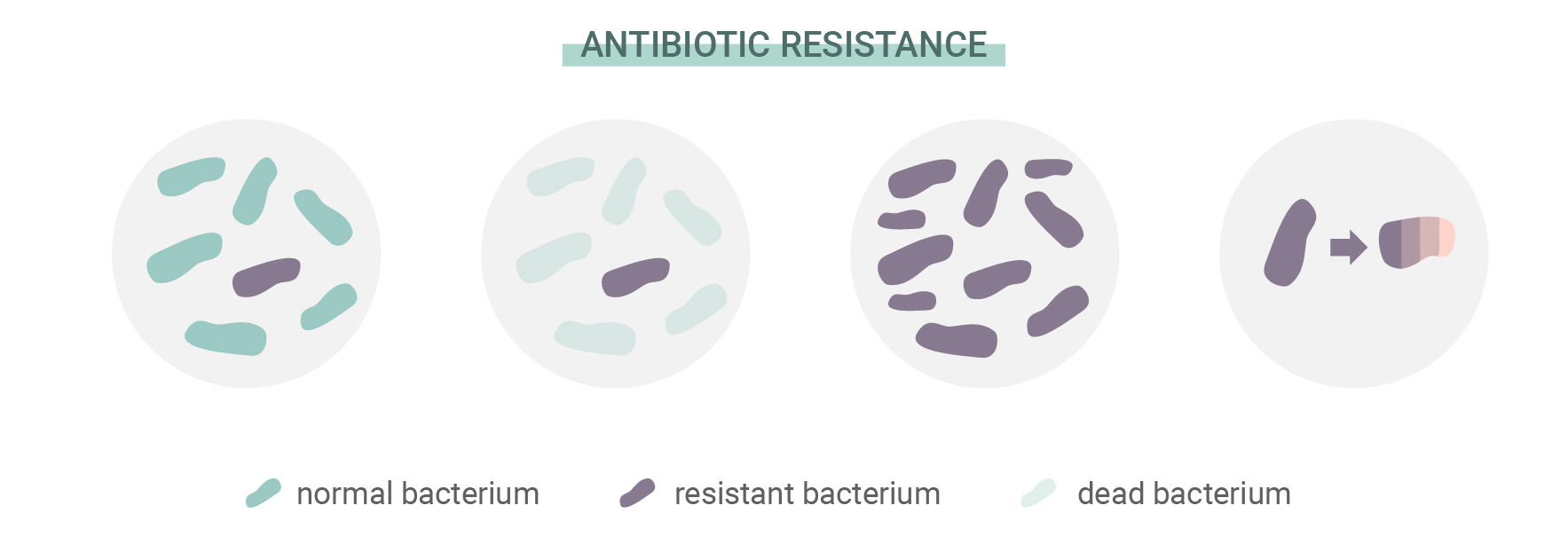 What Is Antibiotic Resistance? What Is Antibiotic Resistance?