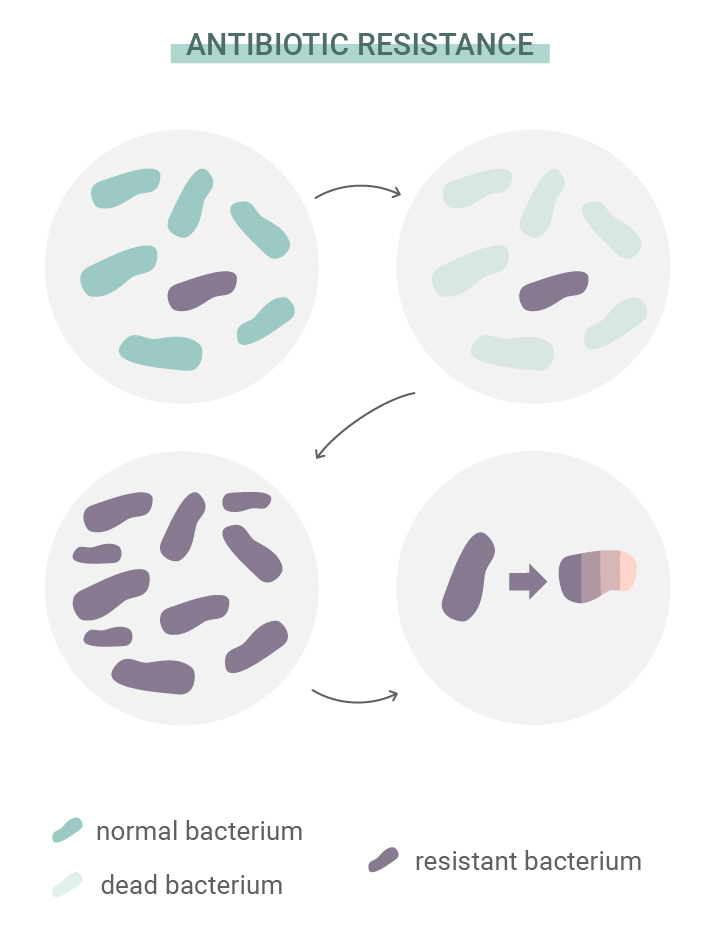 What Is Antibiotic Resistance? What Is Antibiotic Resistance?