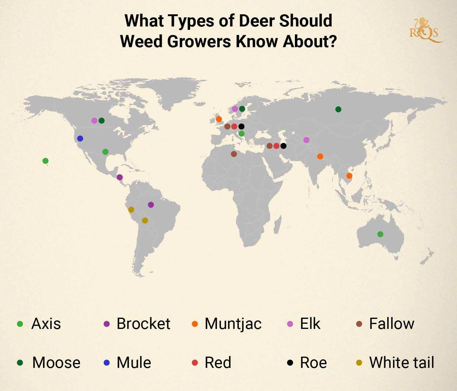 Types of deer around the world