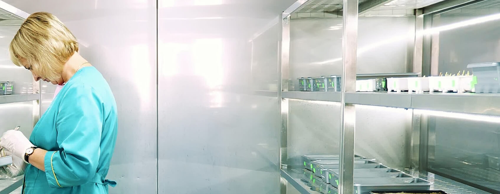 Vertical Cannabis Cultivation Vertical Cannabis Cultivation
