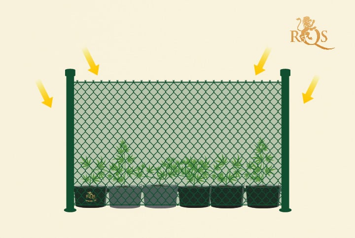 Green mesh fence to hide your plant