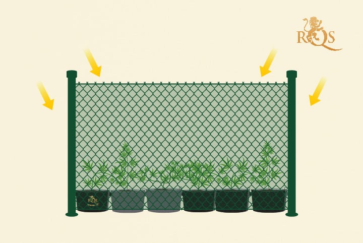 Green mesh fence to hide your plant Green mesh fence to hide your plant