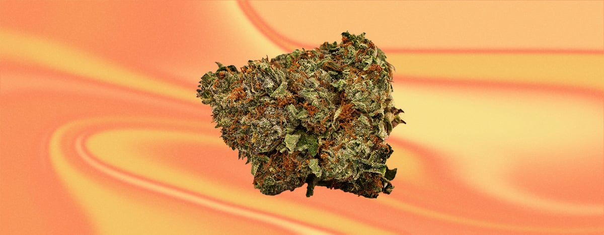 Chemdawg Cannabis Strain Chemdawg Cannabis Strain