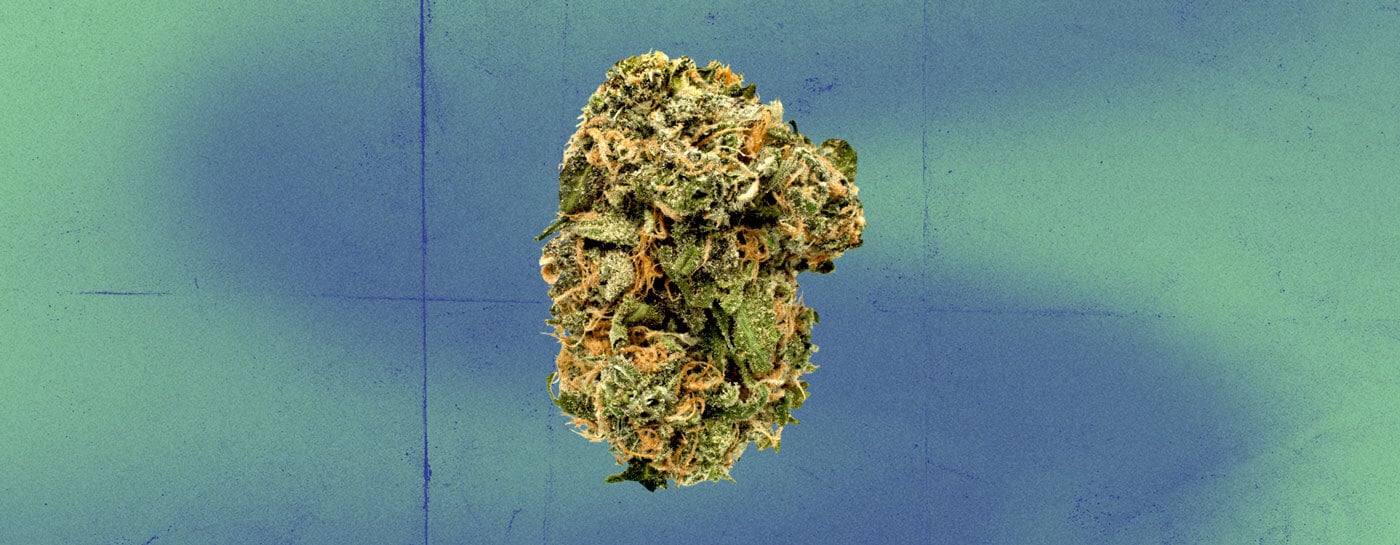 Blue Dream Cannabis Strain Blue Dream Cannabis Strain