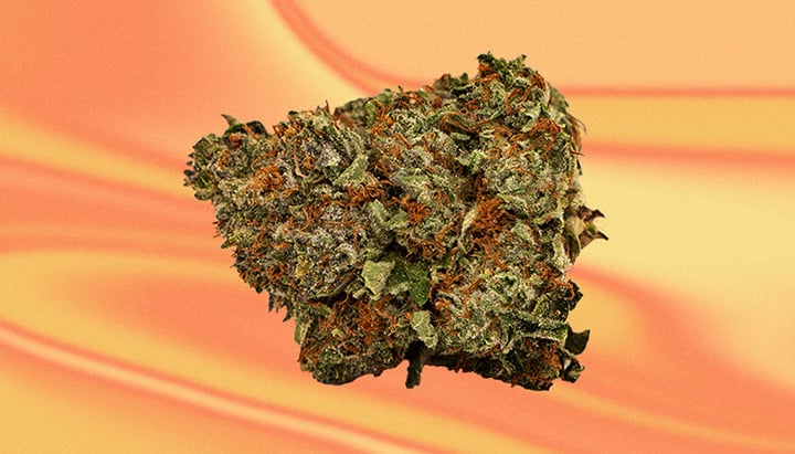 Chemdawg Cannabis Strain Chemdawg Cannabis Strain