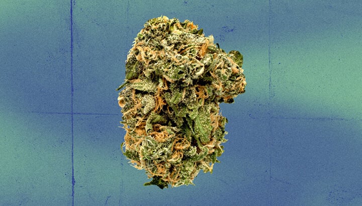 Blue Dream Cannabis Strain Blue Dream Cannabis Strain