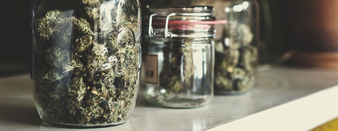 THC vs CBD THC vs CBD