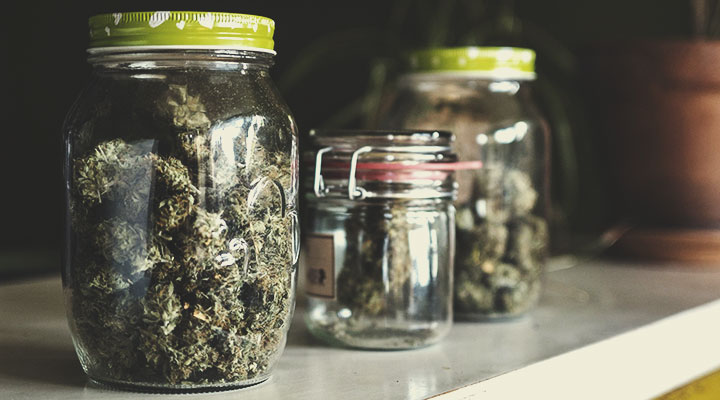 THC vs CBD THC vs CBD