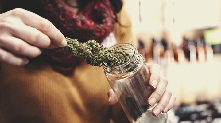 How to Become a Budtender