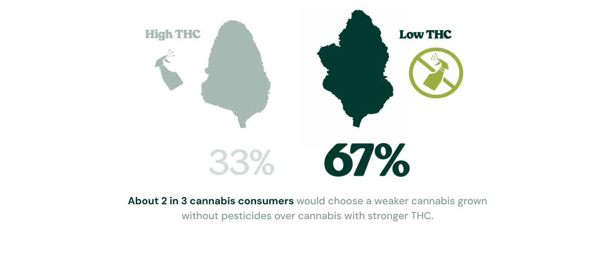 Infographic showing that 67% of cannabis consumers would choose lower-THC cannabis grown without pesticides over stronger cannabis with higher THC, while 33% would choose high-THC cannabis.