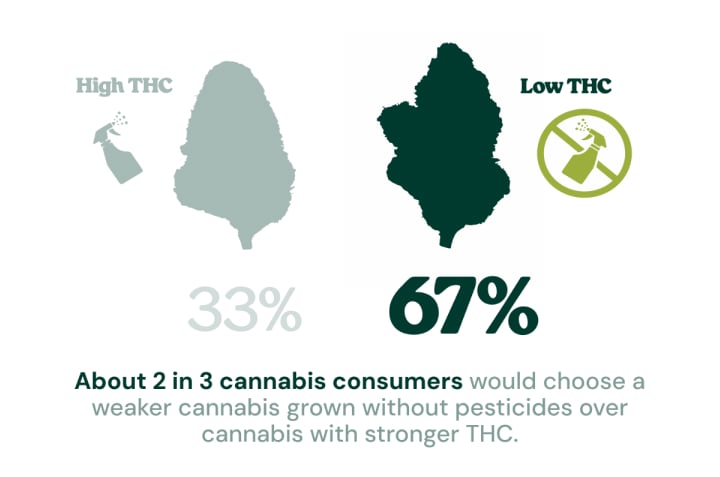 Infographic showing that 67% of cannabis consumers would choose lower-THC cannabis grown without pesticides over stronger cannabis with higher THC, while 33% would choose high-THC cannabis.