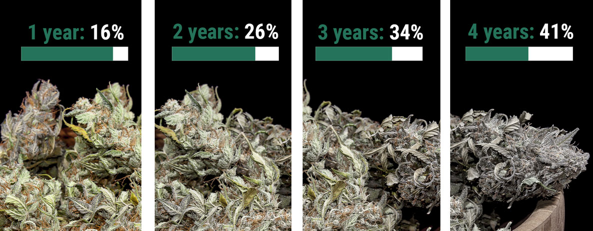 How Long Does Weed Last? How Long Does Weed Last?