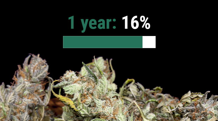 How Long Does Weed Last? How Long Does Weed Last?