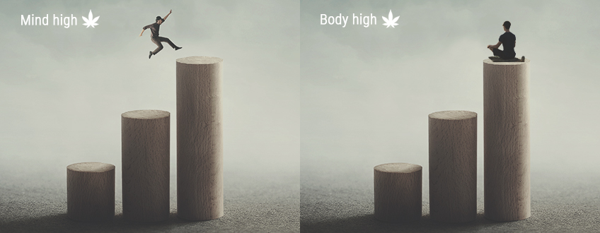 Mind High vs. Body High Mind High vs. Body High