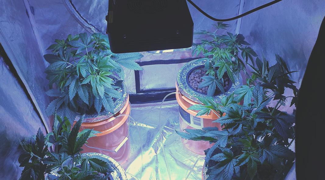 Hydroponics Hydroponics