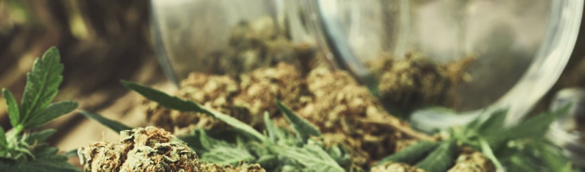 Clearing Up 10 Myths About Marijuana