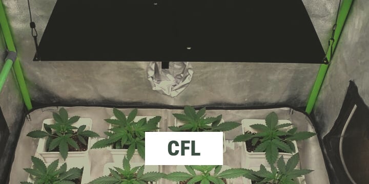 CFL