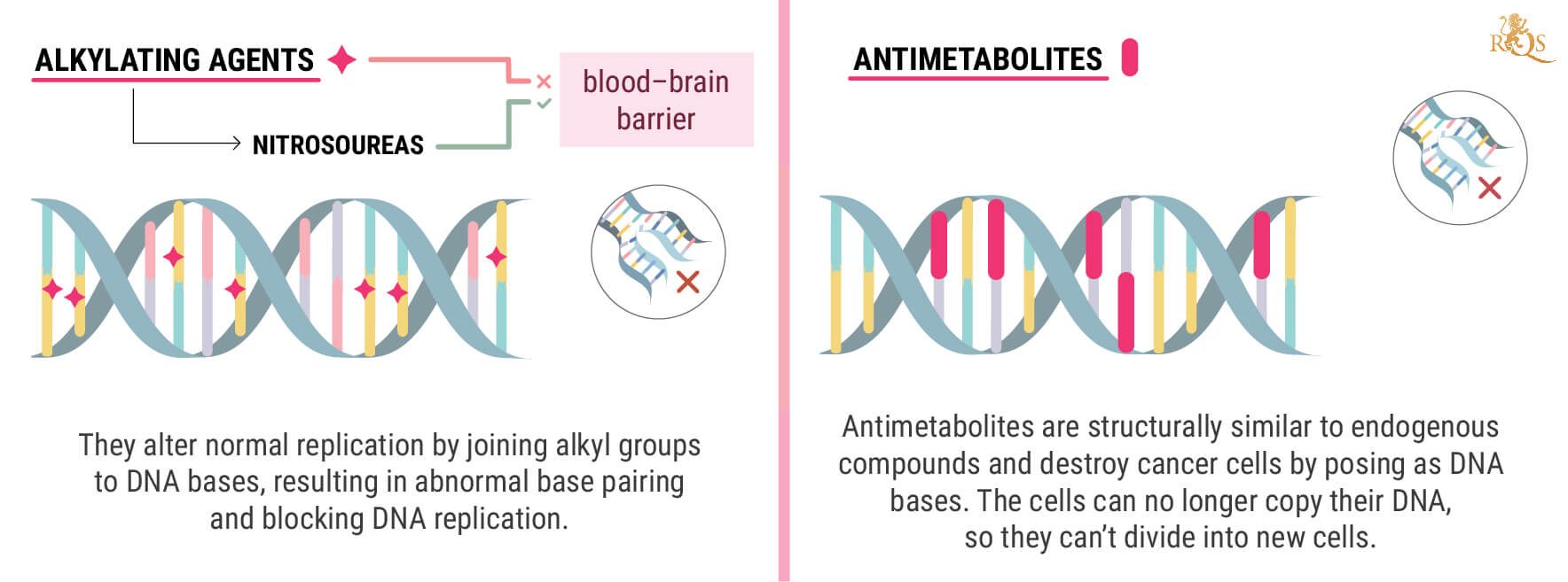 What Is Chemotherapy? What Is Chemotherapy?