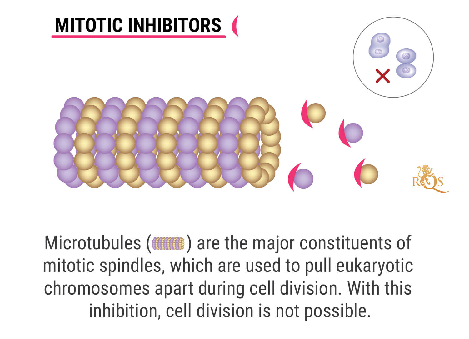 What Is Chemotherapy? What Is Chemotherapy?