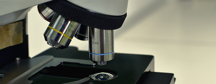 Compound Microscope 