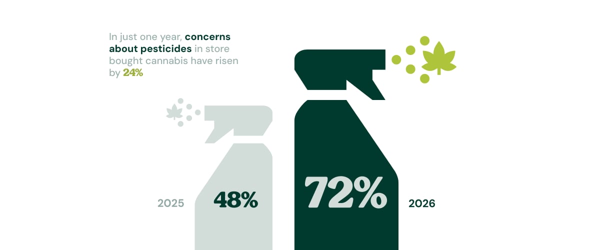 Infographic showing pesticide concerns in store-bought cannabis rising from 48% in 2025 to 72% in 2026.