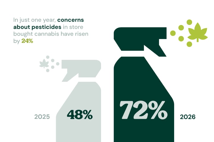 Infographic showing pesticide concerns in store-bought cannabis rising from 48% in 2025 to 72% in 2026.