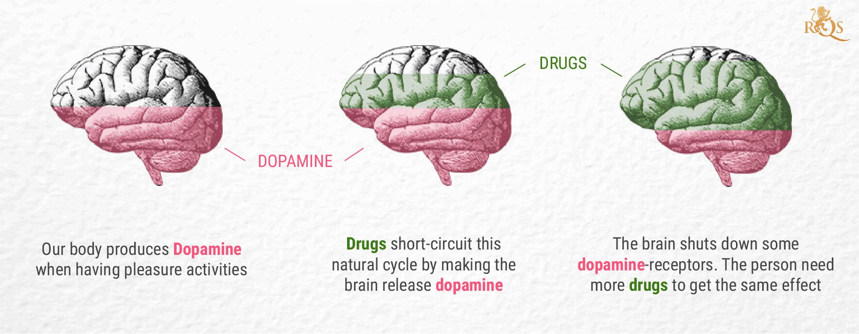 THC and Dopamine