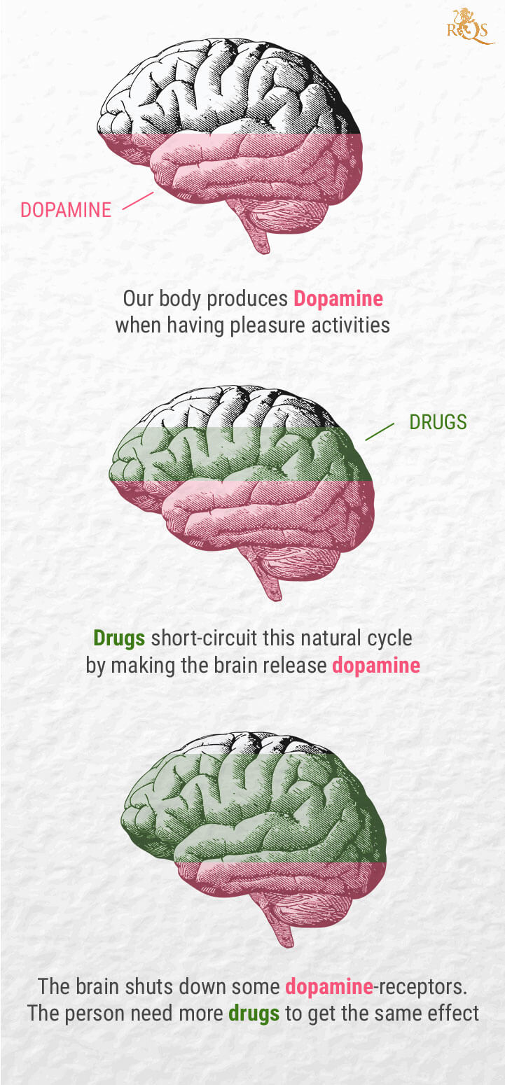 THC and Dopamine