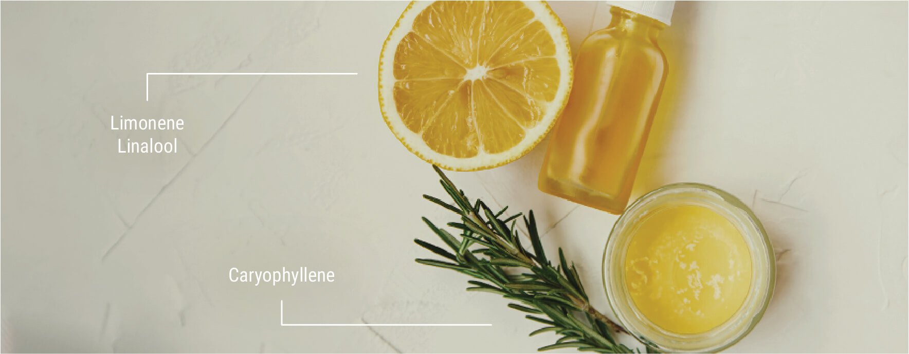 How To Use Terpenes To Enhance the Entourage Effect