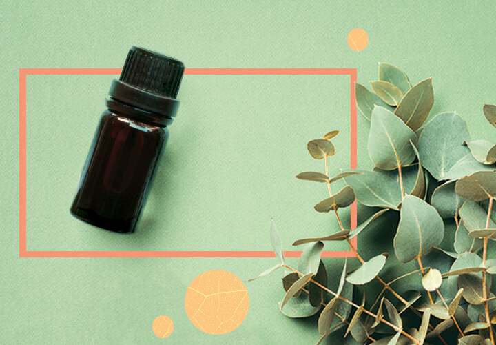 Improve Your Mood With Pinene Improve Your Mood With Pinene