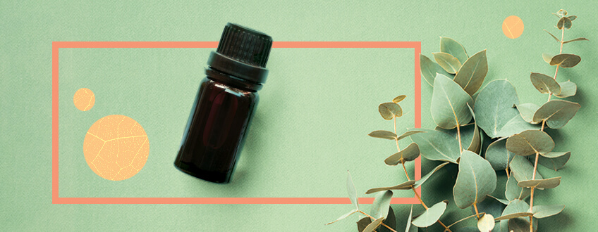 Improve Your Mood With Pinene Improve Your Mood With Pinene