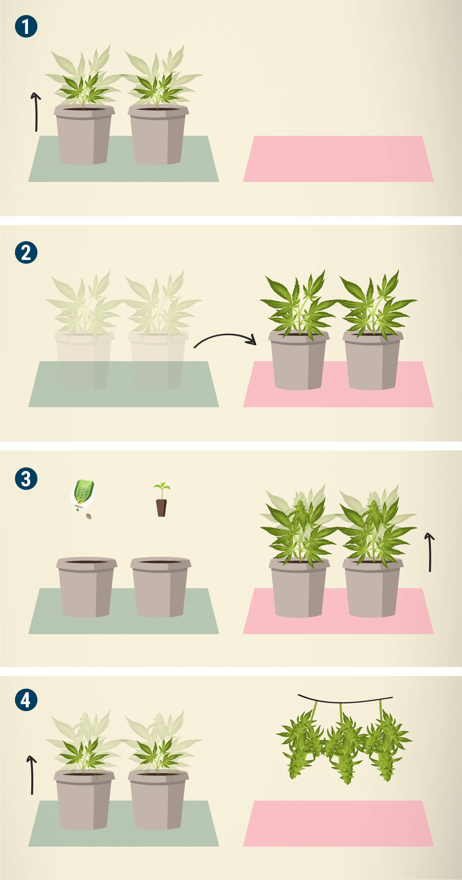 Perpetual Harvest — Use Different Rooms Perpetual Harvest — Use Different Rooms