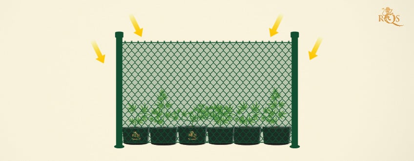 Green mesh fence to hide your plant Green mesh fence to hide your plant
